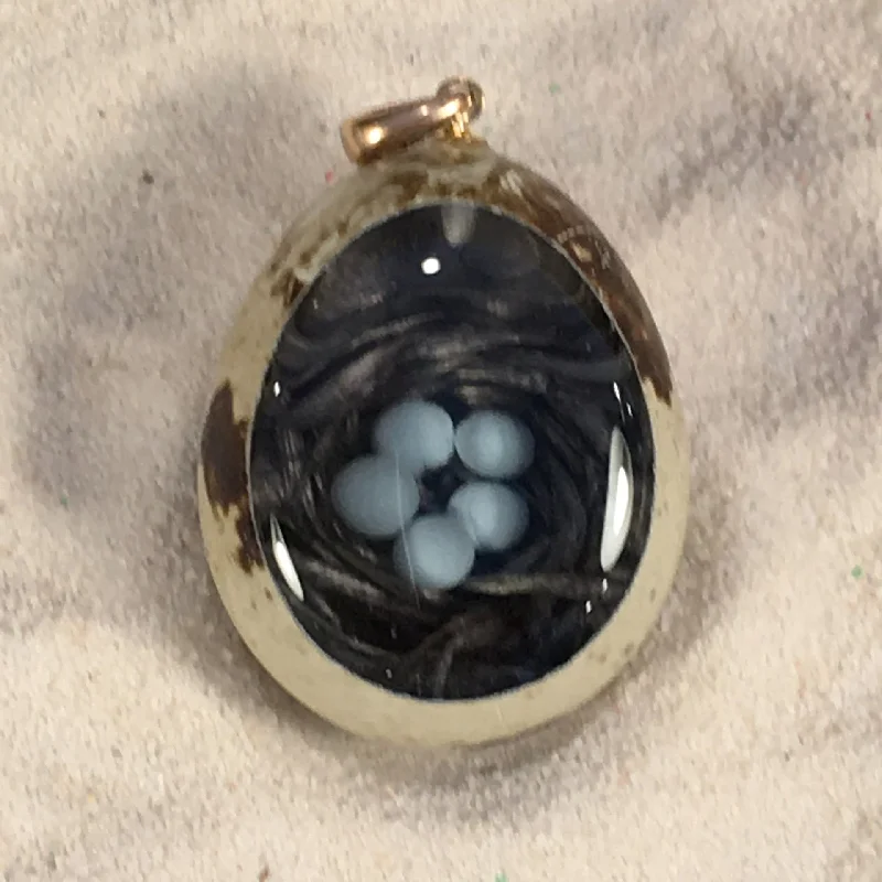 Necklaces and pendants with star-shaped designs for a whimsical, celestial touch-Robin's Nest Quail Egg Ornament